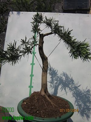 IMG_0118.JPG