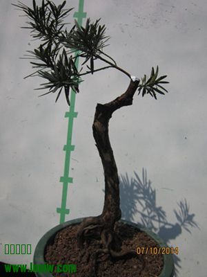 IMG_0122.JPG