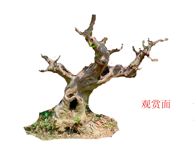 IMG20141006002___.jpg