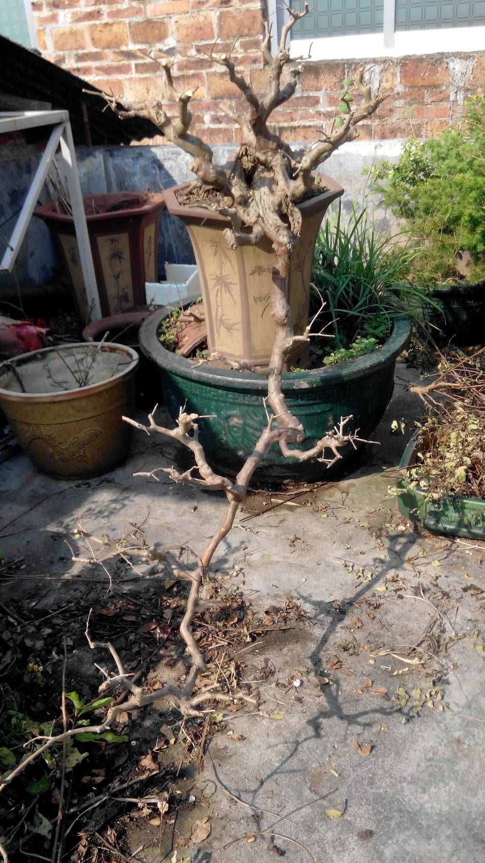 20141007093524.jpg