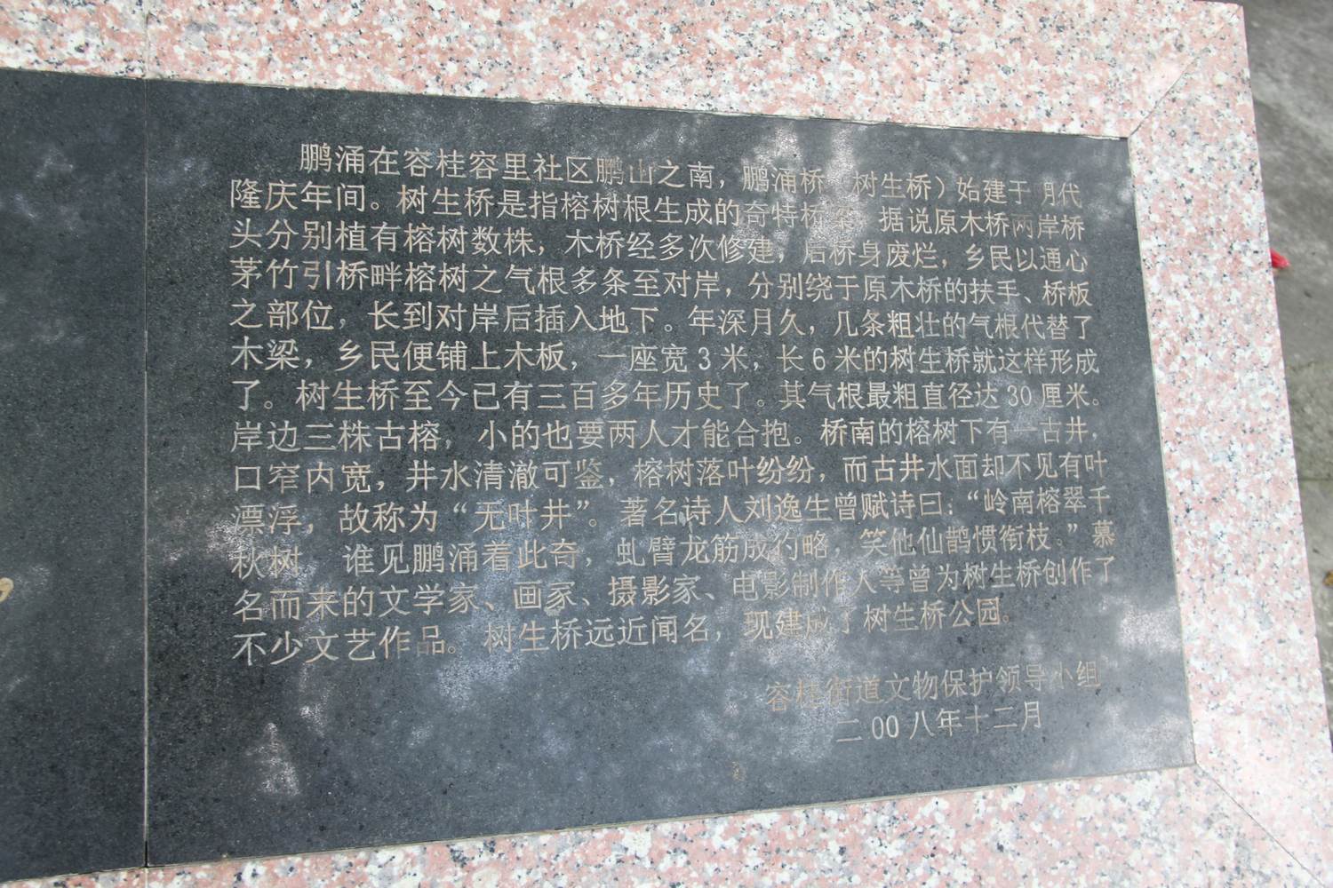IMG_6871.jpg