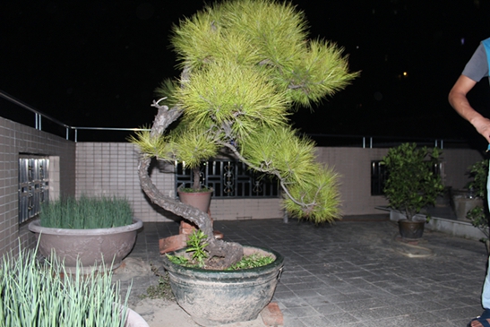 IMG_0883.JPG