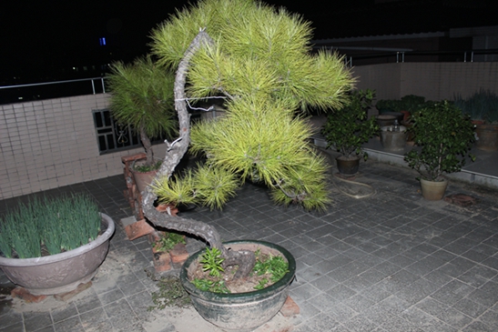 IMG_0884.JPG
