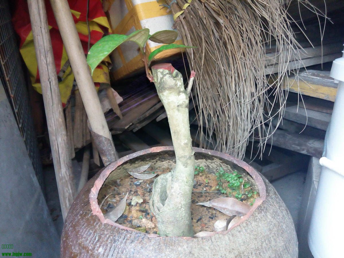 04.jpg