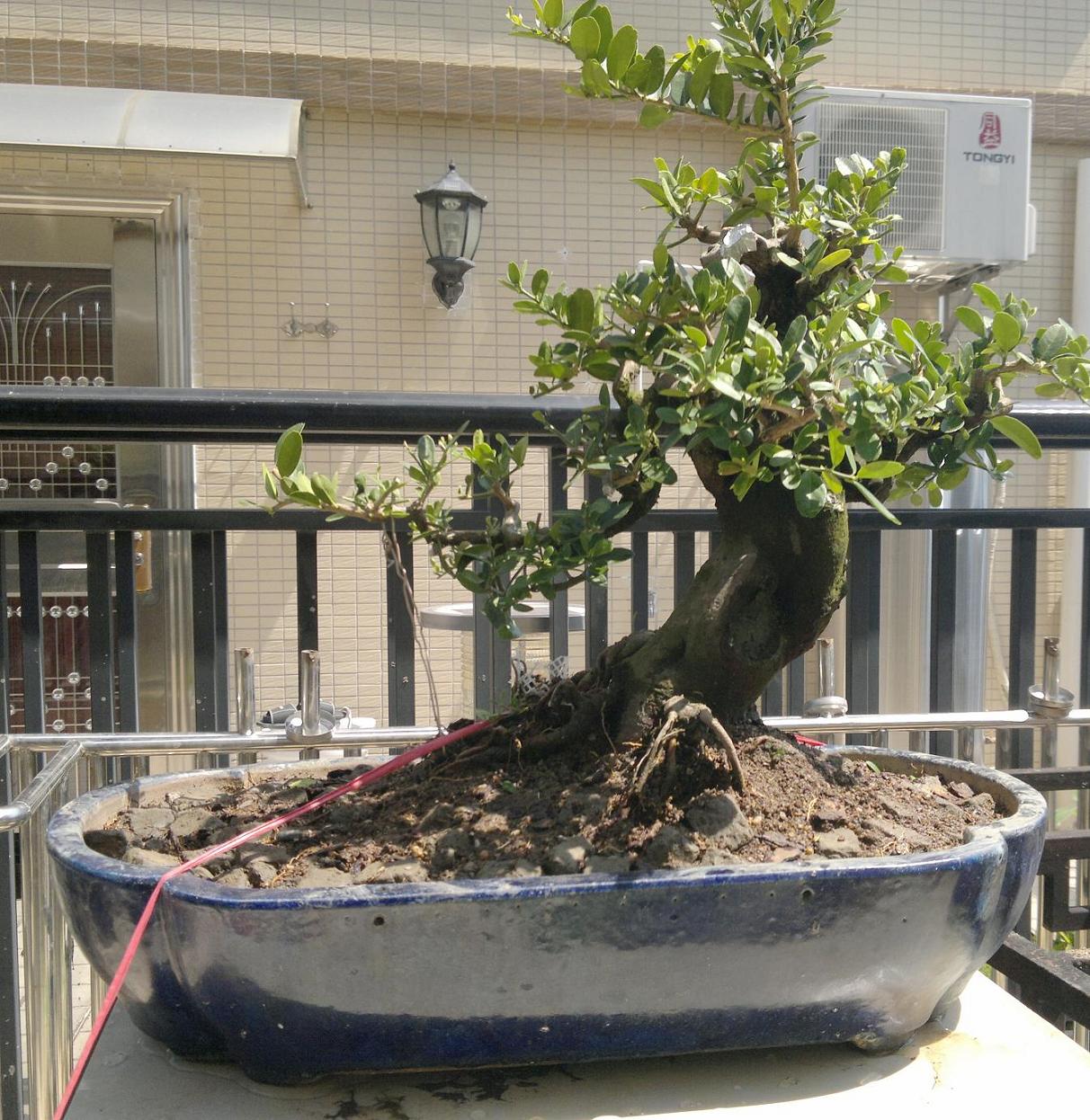 201410062228.jpg