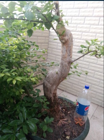 ÷ͣ˾ͼǲ֪ôŪź