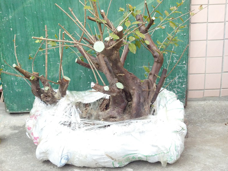 2014-10-09_15-34-30_274_www.moumu.com.jpg