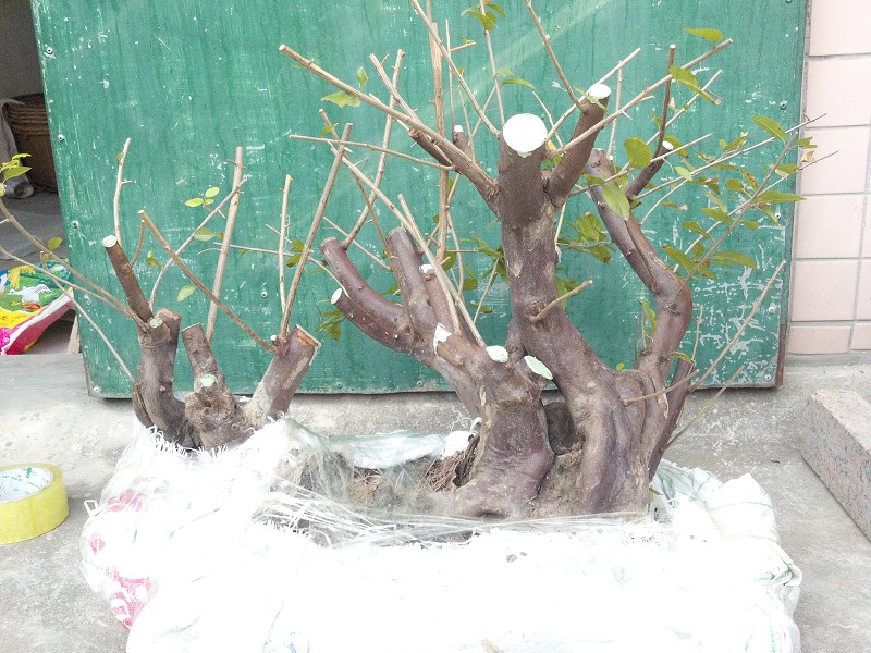2014-10-09_15-35-00_129_www.moumu.com.jpg
