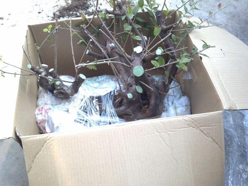 2014-10-09_15-36-06_97_www.moumu.com.jpg