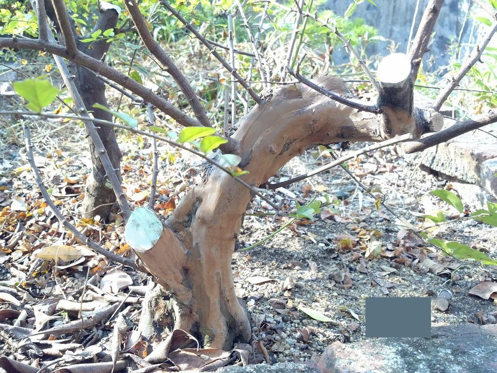 2014-10-07_08-57-01_735_jpg.jpg