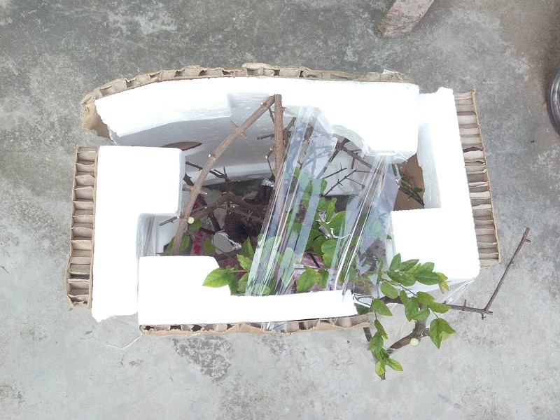 2014-10-09_16-07-04_207_www.moumu.com.jpg