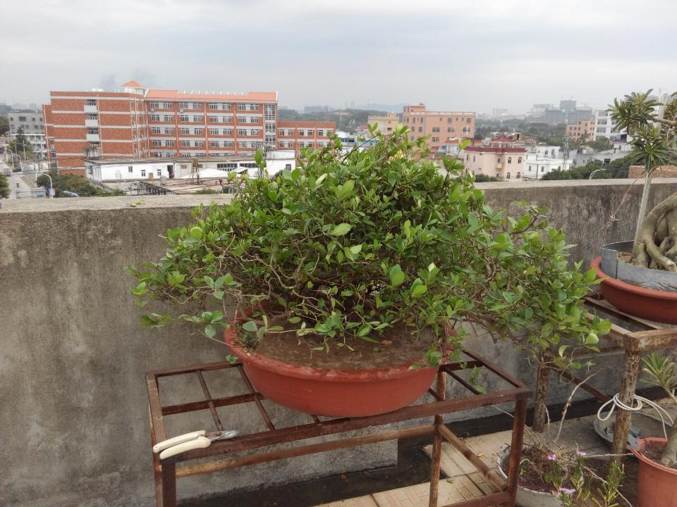 rps20141009_183838.jpg