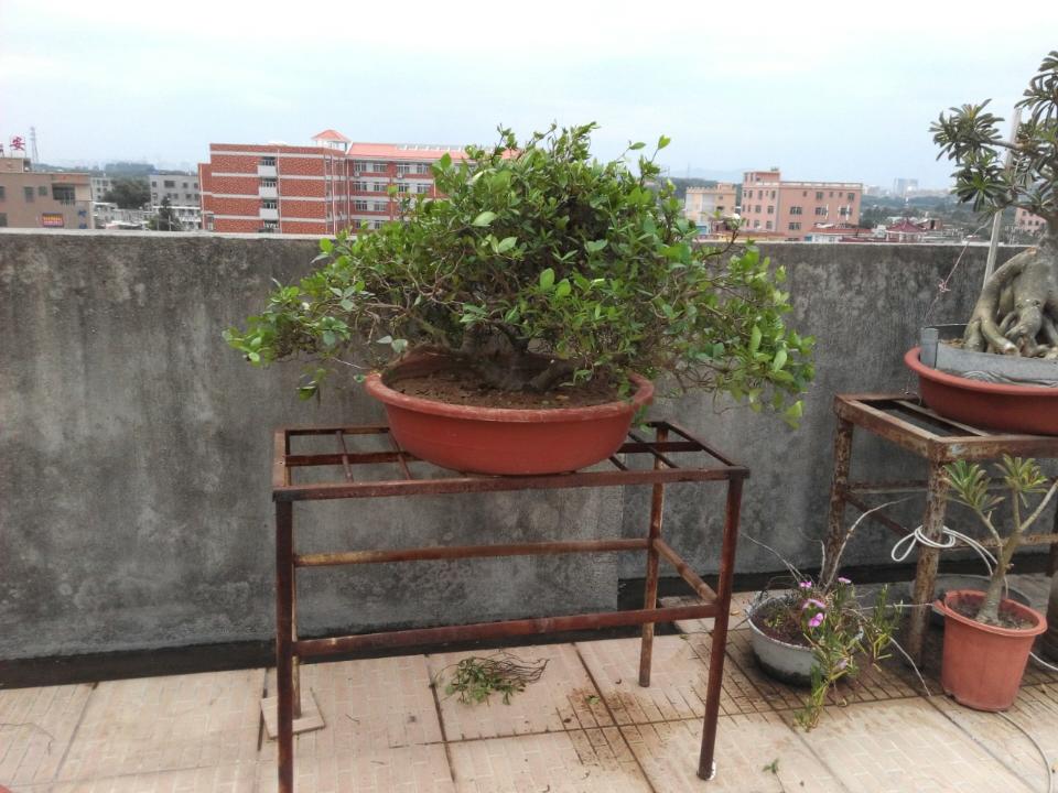 rps20141009_183810.jpg
