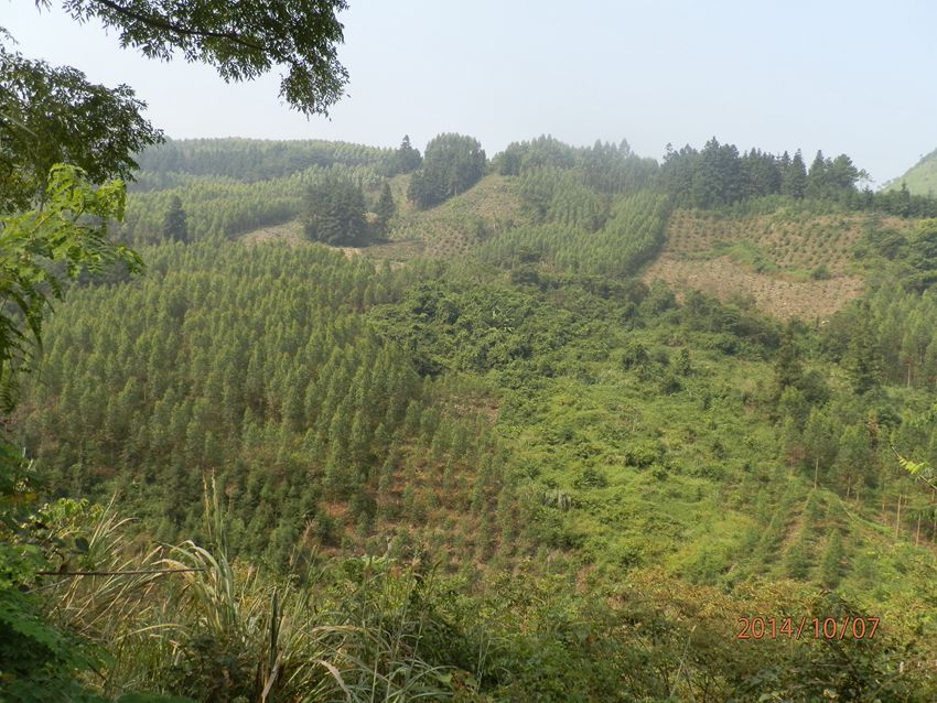 PA071196.JPG