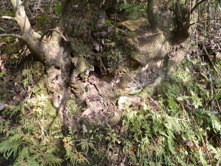 PA061180.JPG