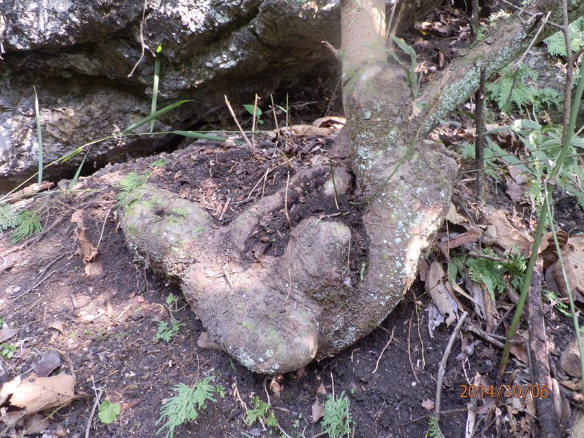 PA061191.JPG