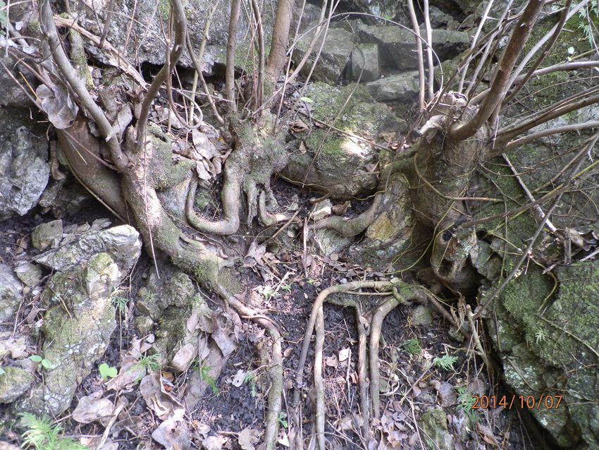 PA071207.JPG