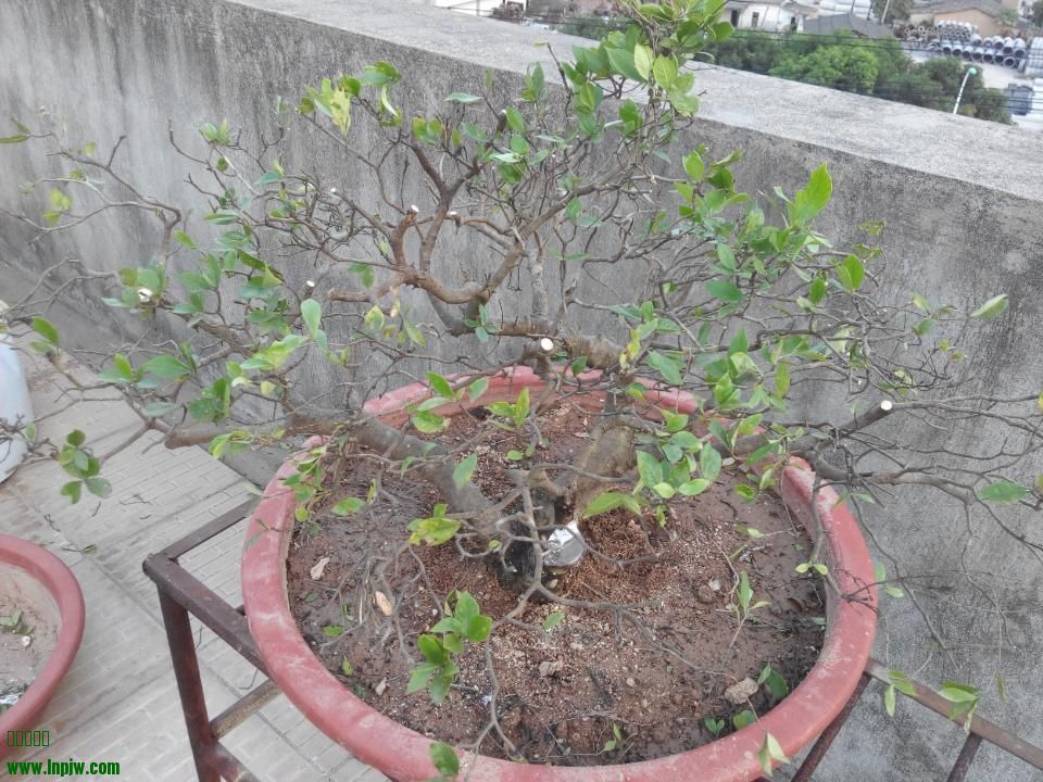 rps20141011_091419.jpg