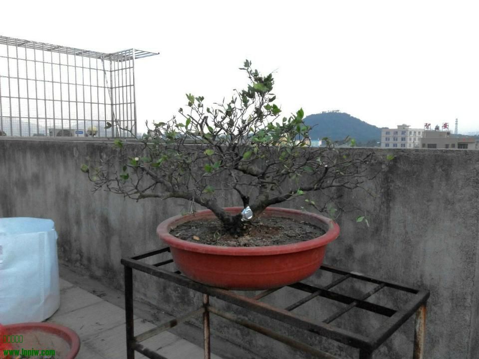 rps20141011_091246.jpg