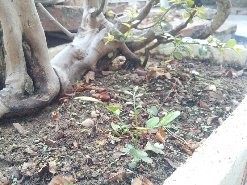 2014-10-12_17-22-41_171_www.moumu.com.jpg
