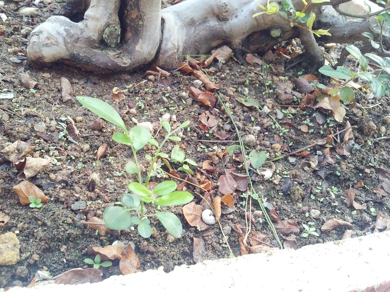 2014-10-12_17-23-12_637_www.moumu.com.jpg