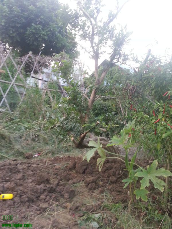 20141009_175434_.jpg