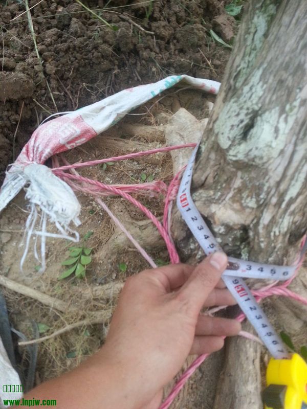 20141009_175332_.jpg