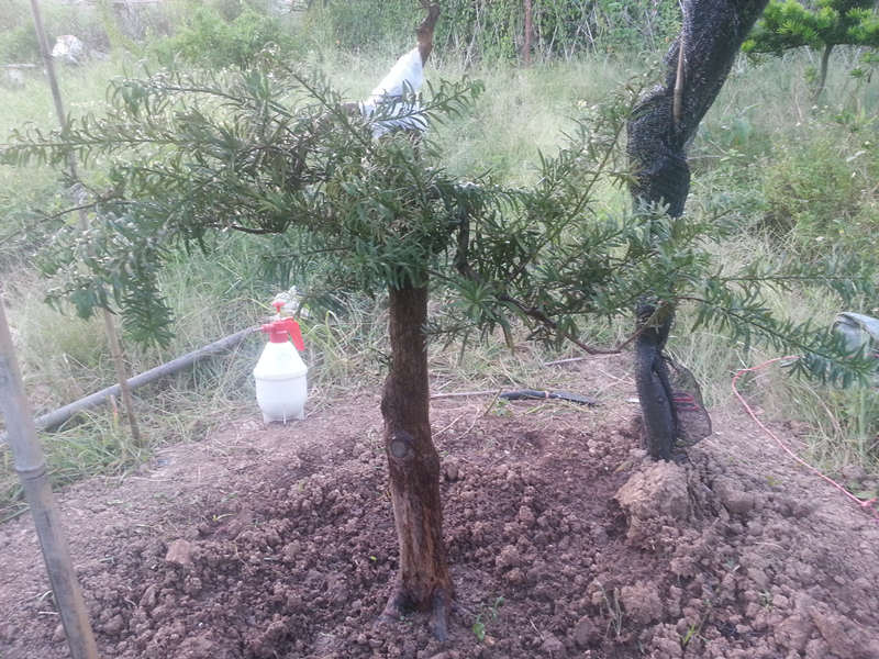 20141006_180031_.jpg