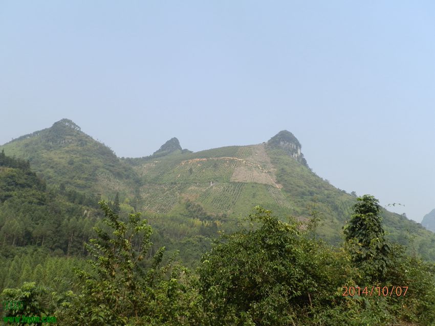 PA071197.JPG