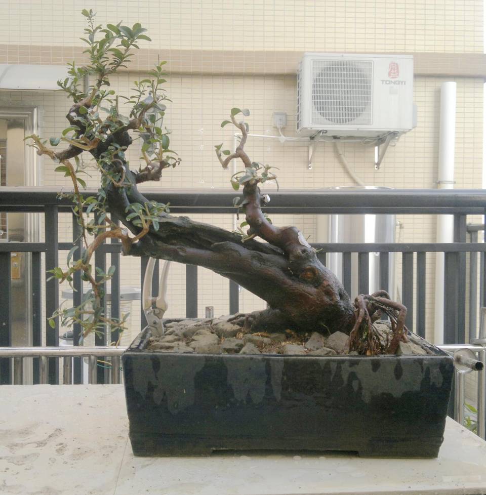 201410122230.jpg