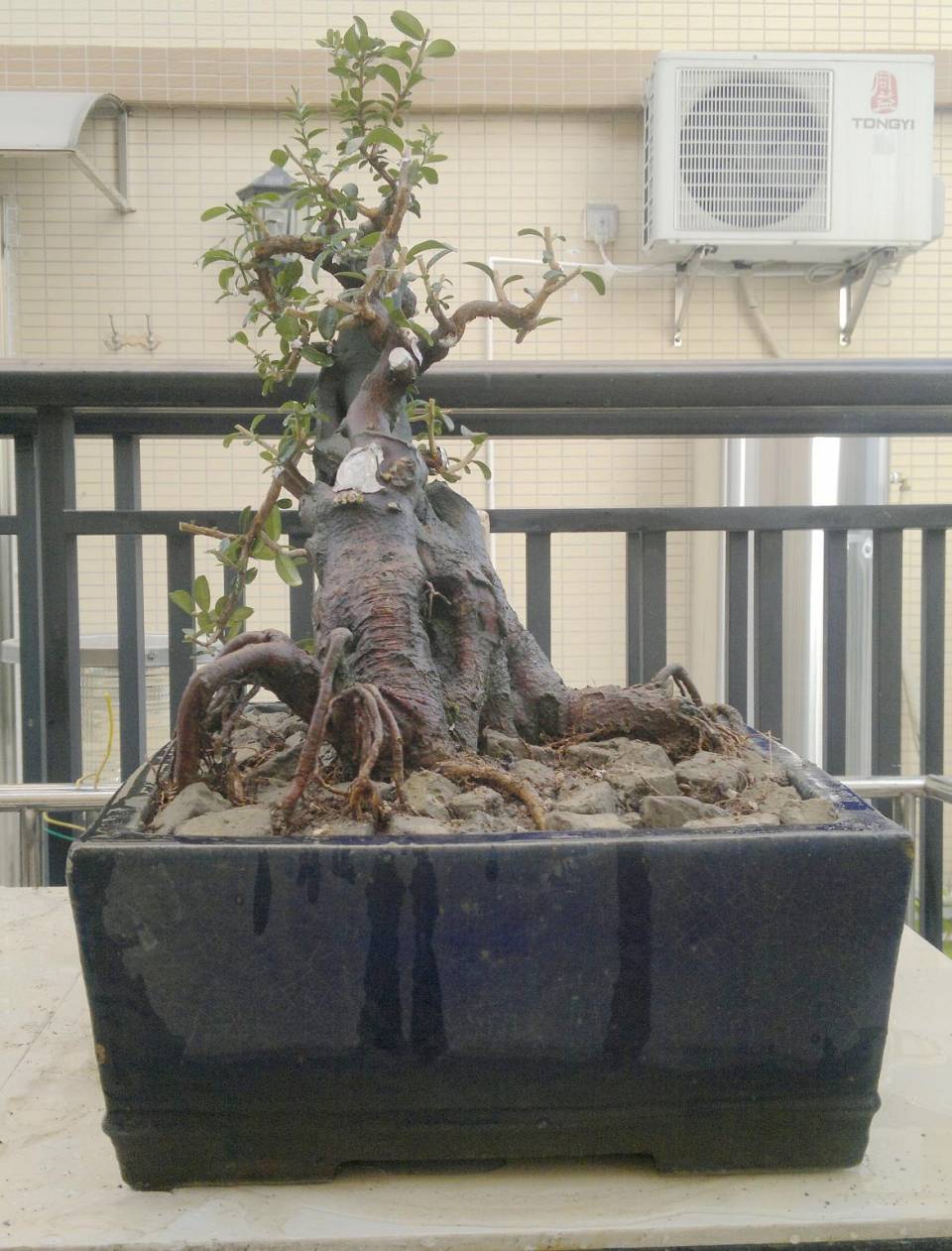201410122231.jpg