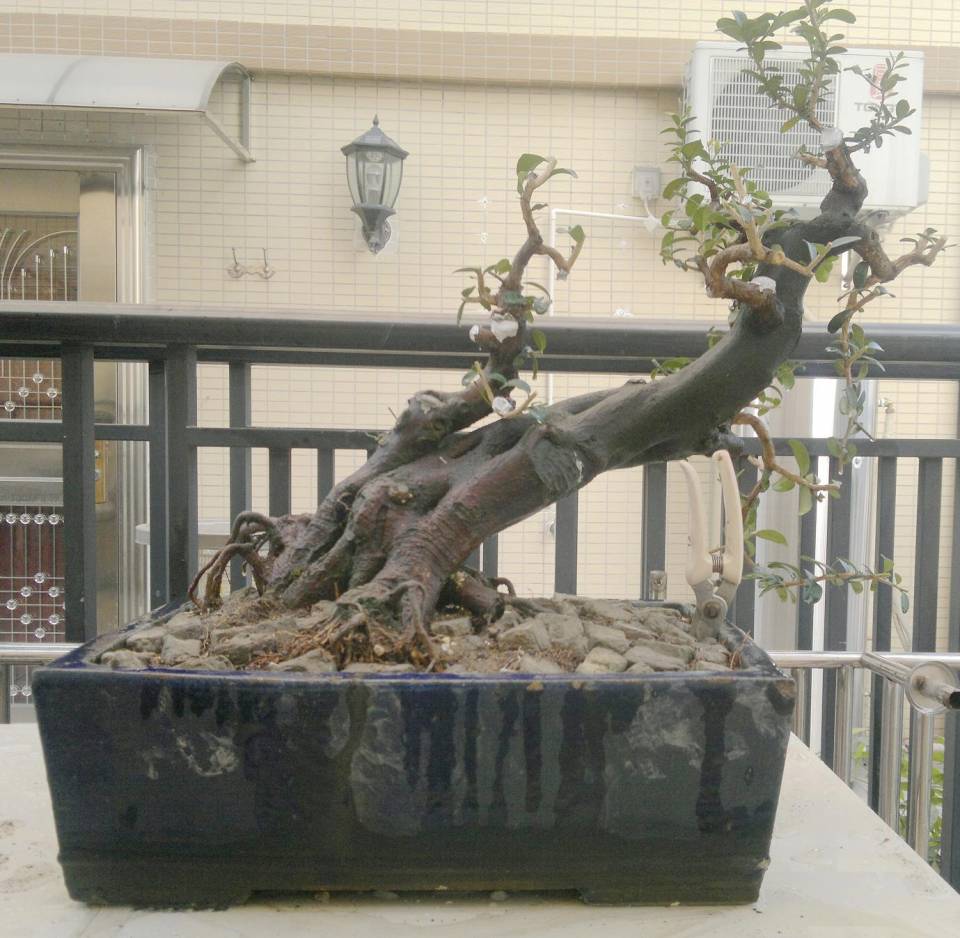 201410122232.jpg