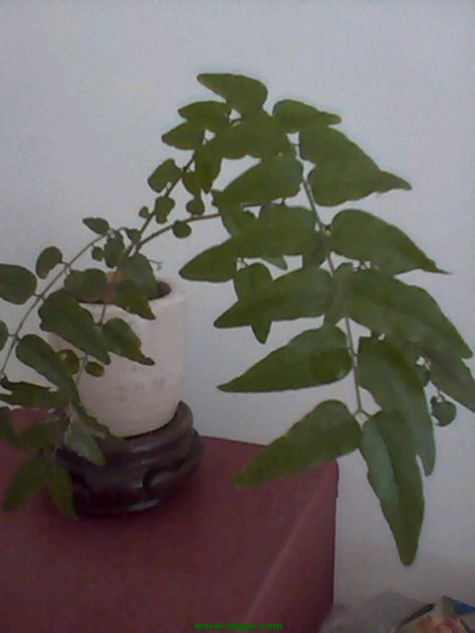 IMG_20141006_095548_0.jpg