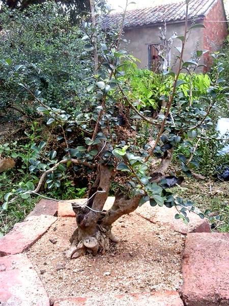 20141013_151421_.jpg
