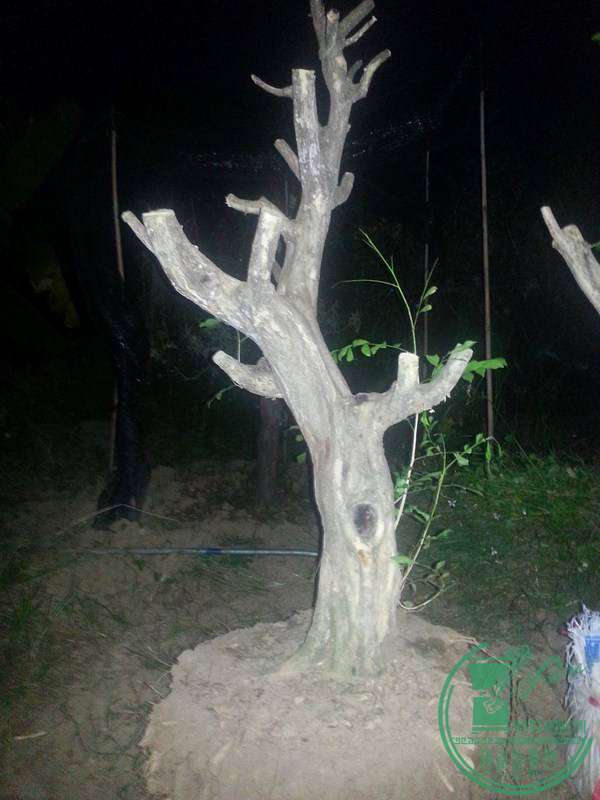 20141016_183137_.jpg