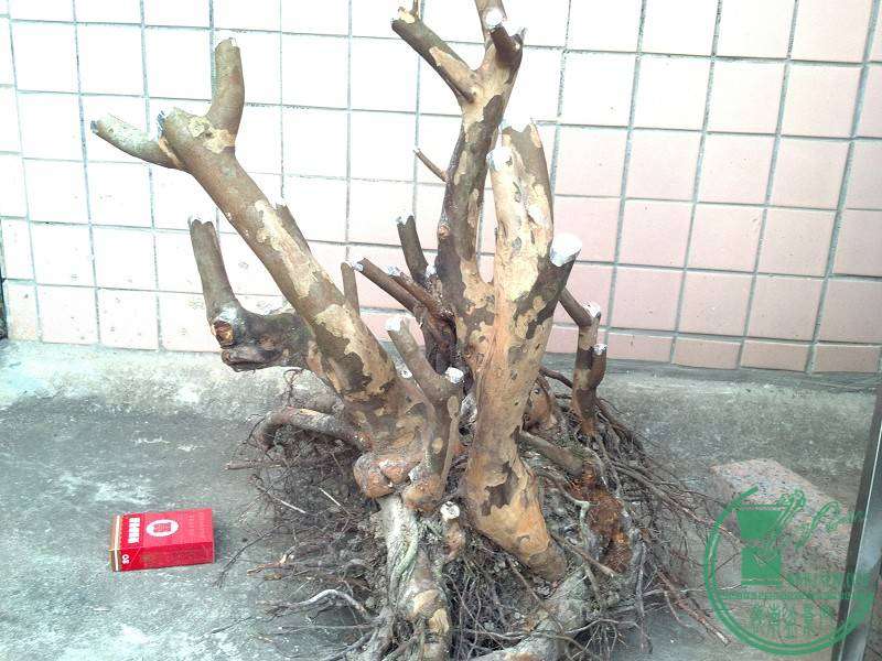 2014-10-18_17-25-21_111_www.moumu.com.jpg
