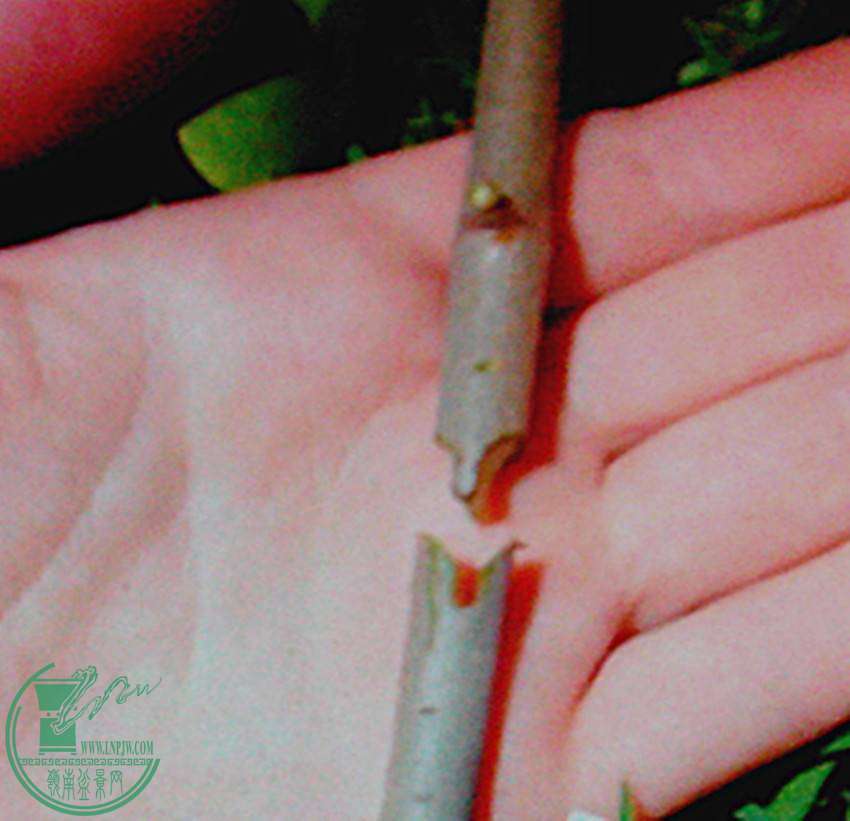 IMG20140510002_.jpg
