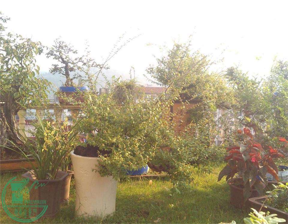 ȸ÷3IMG_20141014_073949_2345ͼ.jpg