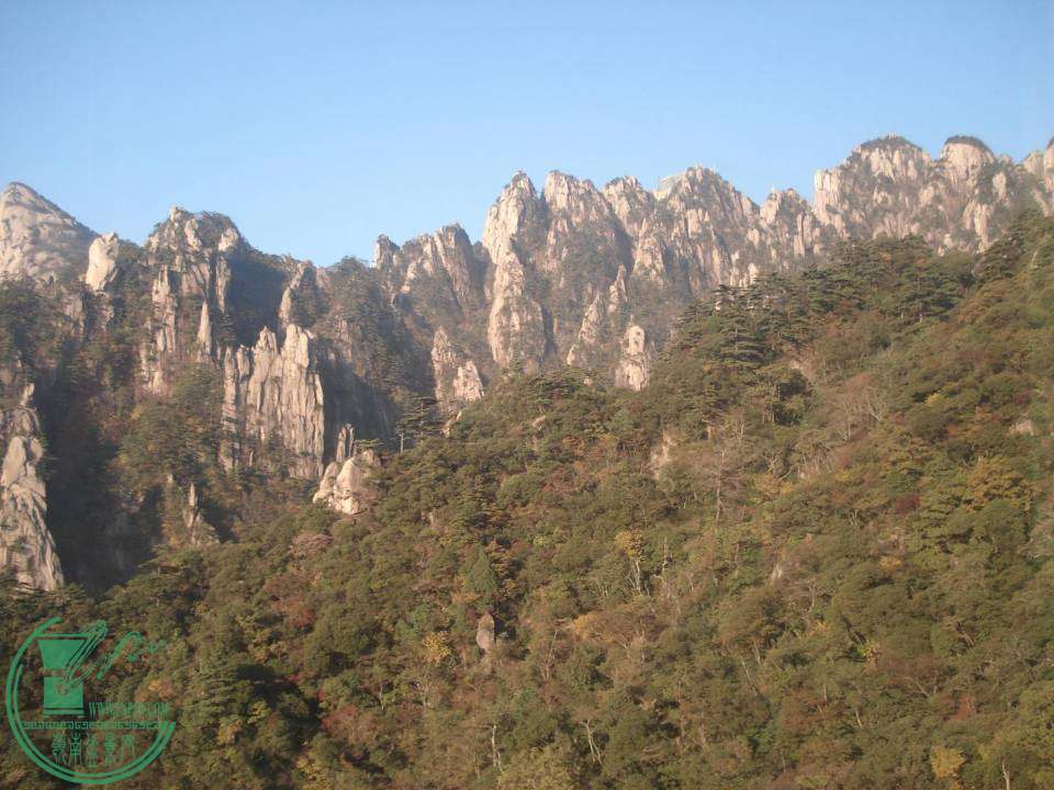 DSC03347.JPG