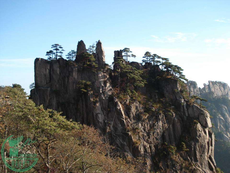 DSC03352.JPG