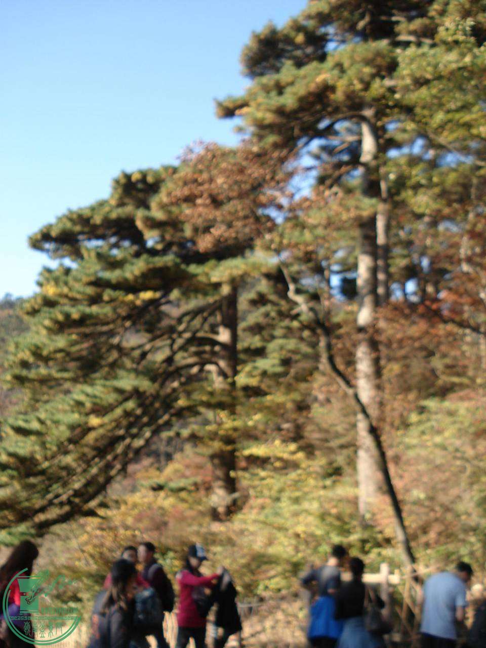 DSC03358.JPG