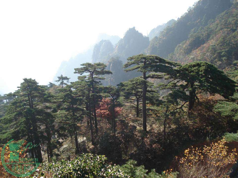 DSC03366.JPG