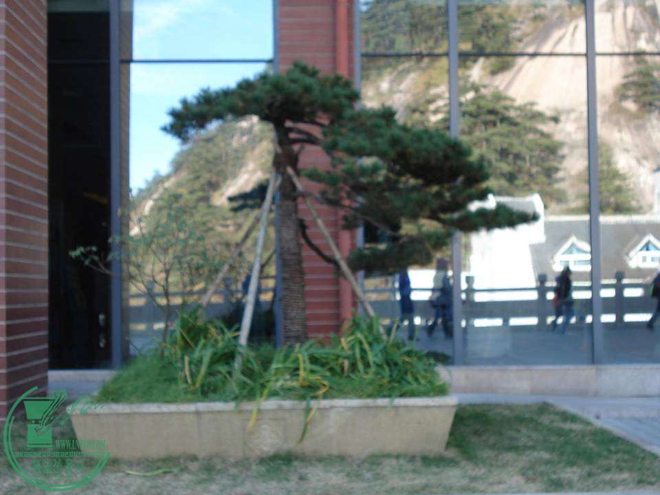DSC03386.JPG