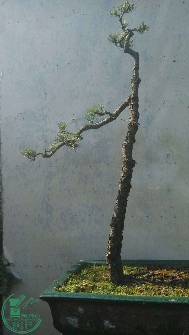 001.jpg
