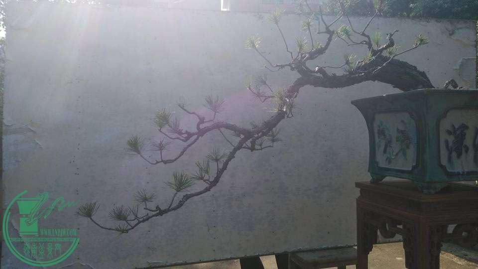 008.jpg