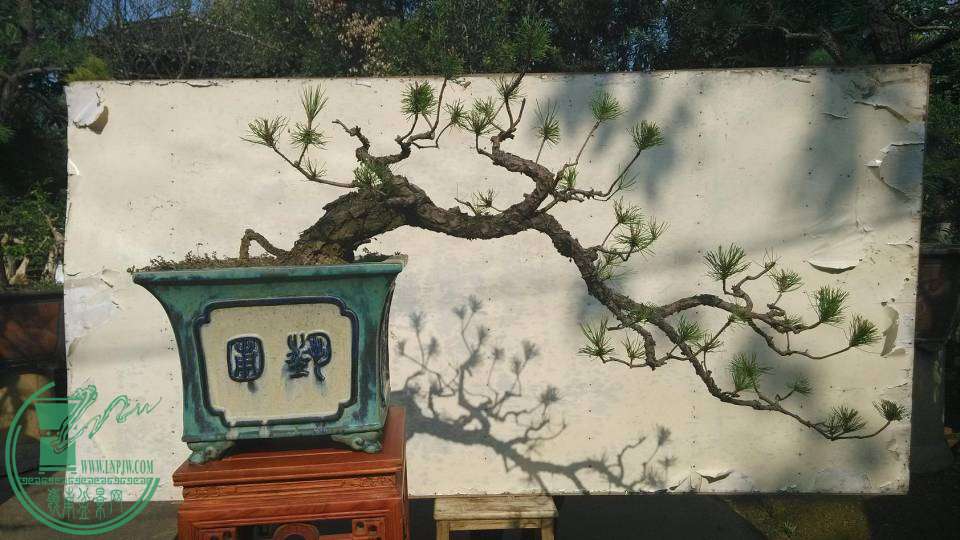 010.jpg