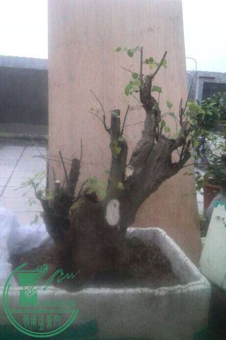 QQͼƬ20141023175258.jpg