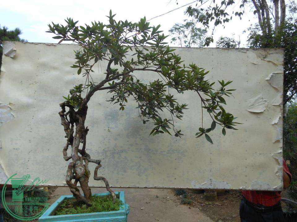 001.JPG