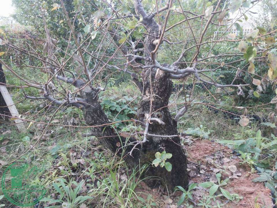 С 20141024_162128.jpg