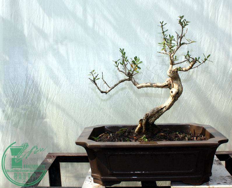 20141018 300.jpg